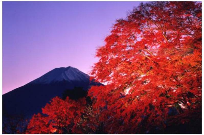 Erable Mt.Fuji "Kaze" Villa Fujikawaguchiko Dış mekan fotoğraf